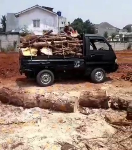 Jasa Tebang Pohon Jakarta Barat melayani penebangan pohon dan potong ranting pohon. Wilayah operasionalnya meliputi Cengkareng, Grogol Petamburan, Taman Sari, Tambora, Kebon Jeruk, Kalideres, Palmerah, dan Kembangan.