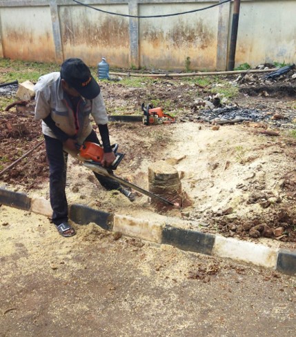 Jasa Tebang Pohon Tangerang melayani penebangan pohon dan potong ranting pohon. Wilayah operasionalnya meliputi Batuceper, Benda, Cibodas, Ciledug, Cipondoh, Jatiuwung, Karangtengah, Karawaci, Larangan, Neglasari, Periuk, Pinang, dan Tangerang.