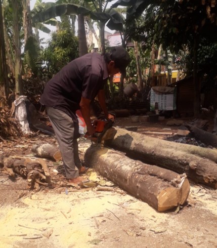 Jasa Tebang Pohon Tangerang melayani penebangan pohon dan potong ranting pohon. Wilayah operasionalnya meliputi Batuceper, Benda, Cibodas, Ciledug, Cipondoh, Jatiuwung, Karangtengah, Karawaci, Larangan, Neglasari, Periuk, Pinang, dan Tangerang.