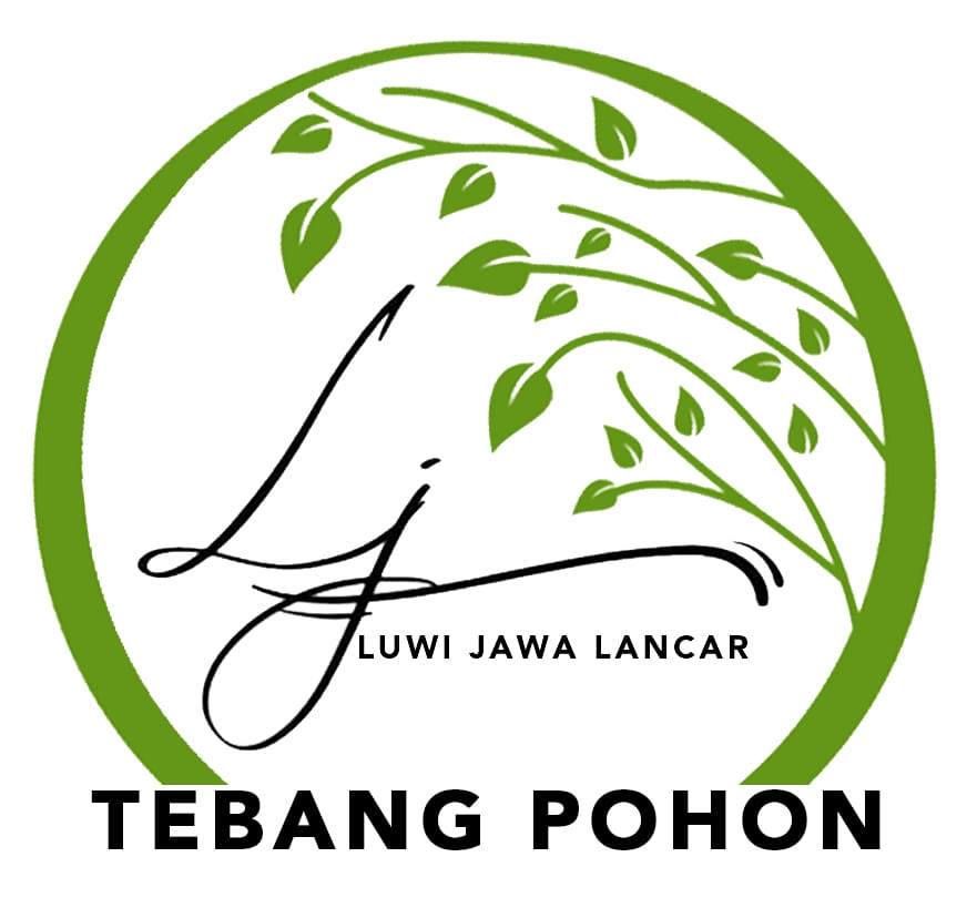 Jasa Tebang Pohon Murah